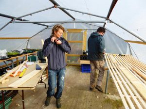 polytunnel workers